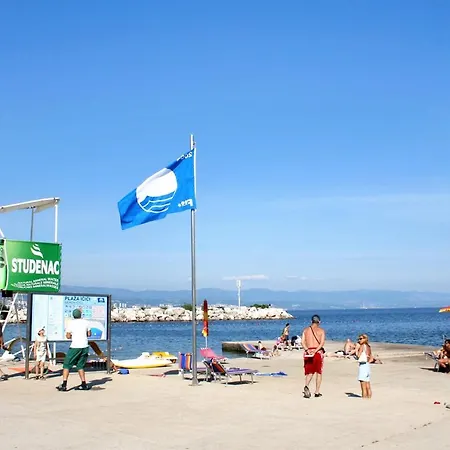 With A Parking Space Icici, Opatija - 7763